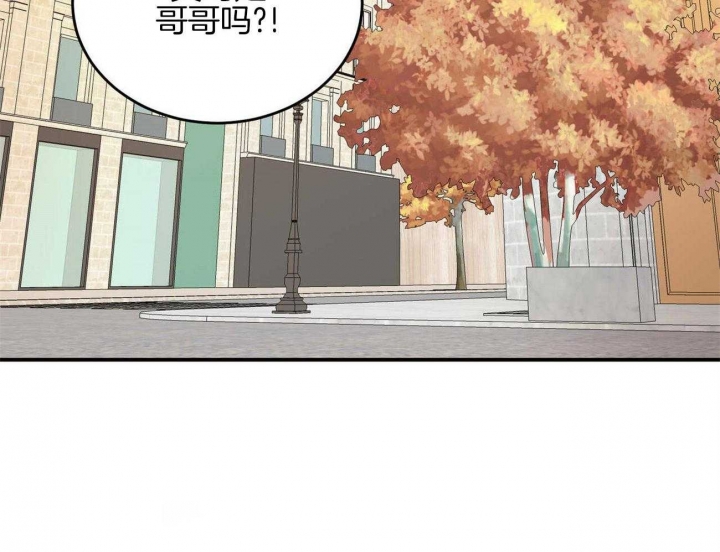 《我的主人(Ⅰ+Ⅱ季)》漫画最新章节第43话免费下拉式在线观看章节第【11】张图片