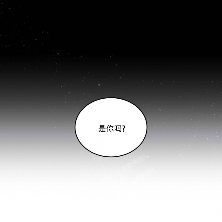 《我的主人(Ⅰ+Ⅱ季)》漫画最新章节第49话免费下拉式在线观看章节第【5】张图片