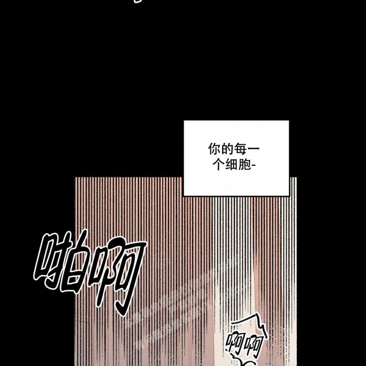 《我的主人(Ⅰ+Ⅱ季)》漫画最新章节第56话免费下拉式在线观看章节第【37】张图片