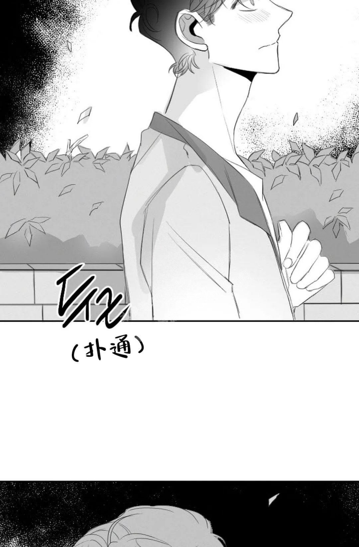 《性感的浪漫》漫画最新章节第18话免费下拉式在线观看章节第【25】张图片