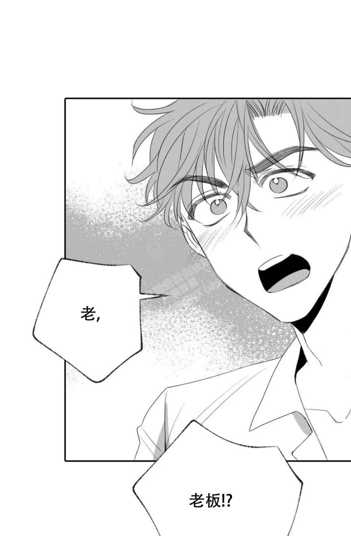 《性感的浪漫》漫画最新章节第14话免费下拉式在线观看章节第【21】张图片