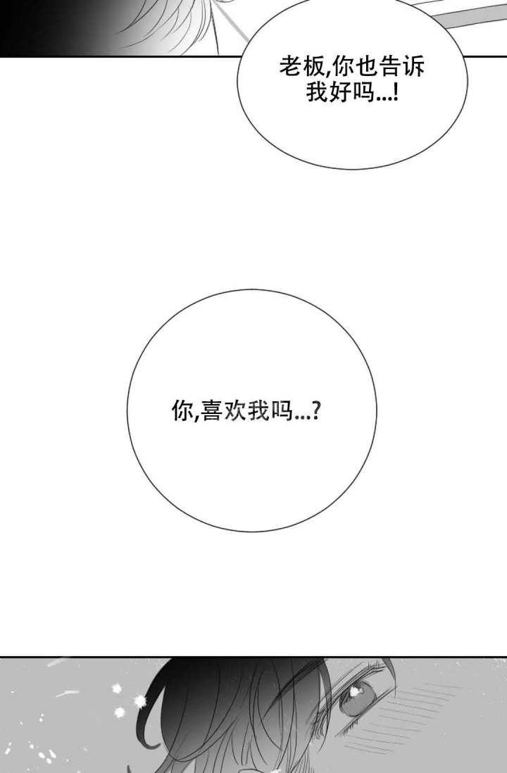 《性感的浪漫》漫画最新章节第20话免费下拉式在线观看章节第【7】张图片