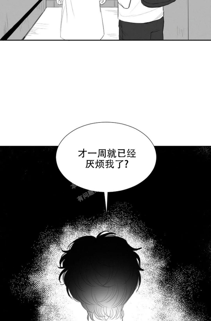 《性感的浪漫》漫画最新章节第19话免费下拉式在线观看章节第【10】张图片