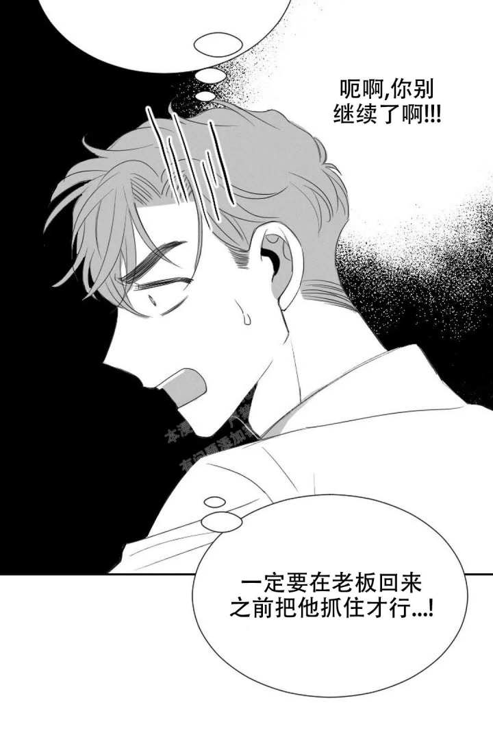 《性感的浪漫》漫画最新章节第14话免费下拉式在线观看章节第【14】张图片