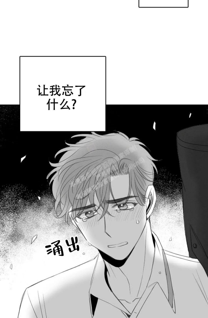 《性感的浪漫》漫画最新章节第18话免费下拉式在线观看章节第【31】张图片