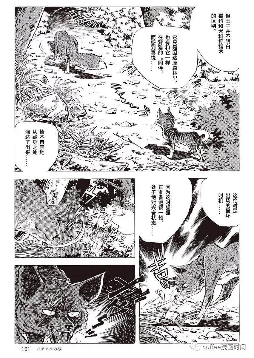 《罚猫的梦想》漫画最新章节第1话免费下拉式在线观看章节第【43】张图片