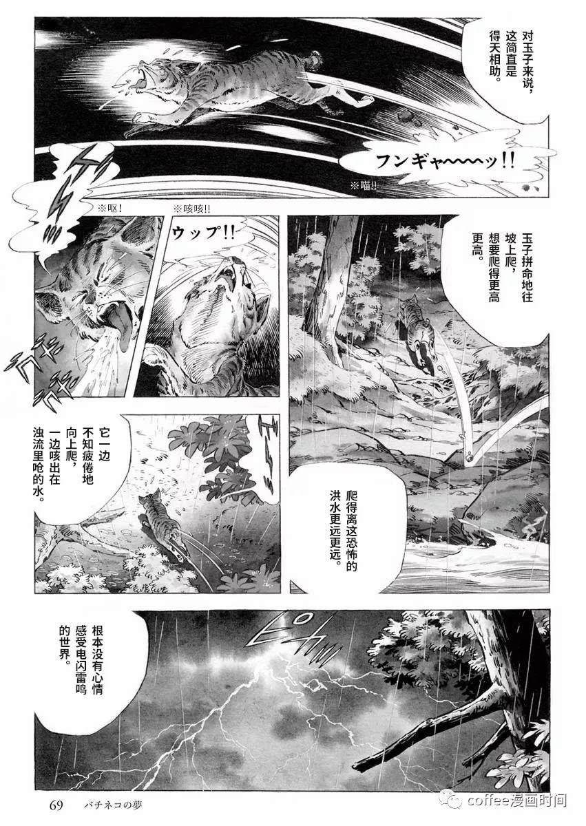 《罚猫的梦想》漫画最新章节第1话免费下拉式在线观看章节第【11】张图片