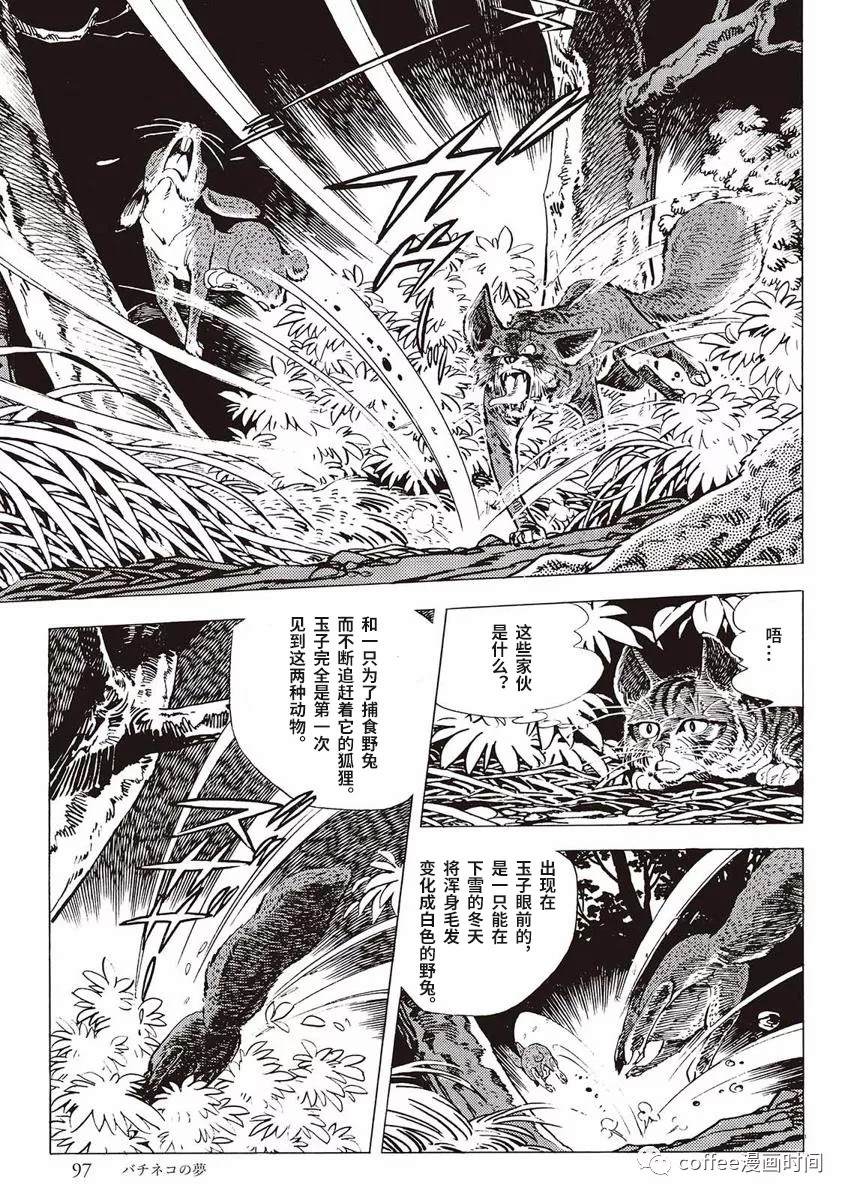 《罚猫的梦想》漫画最新章节第1话免费下拉式在线观看章节第【39】张图片