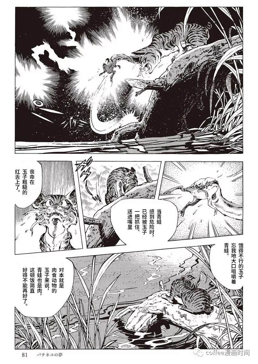 《罚猫的梦想》漫画最新章节第1话免费下拉式在线观看章节第【23】张图片