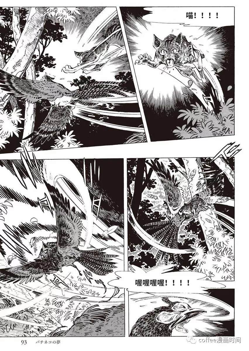 《罚猫的梦想》漫画最新章节第1话免费下拉式在线观看章节第【35】张图片