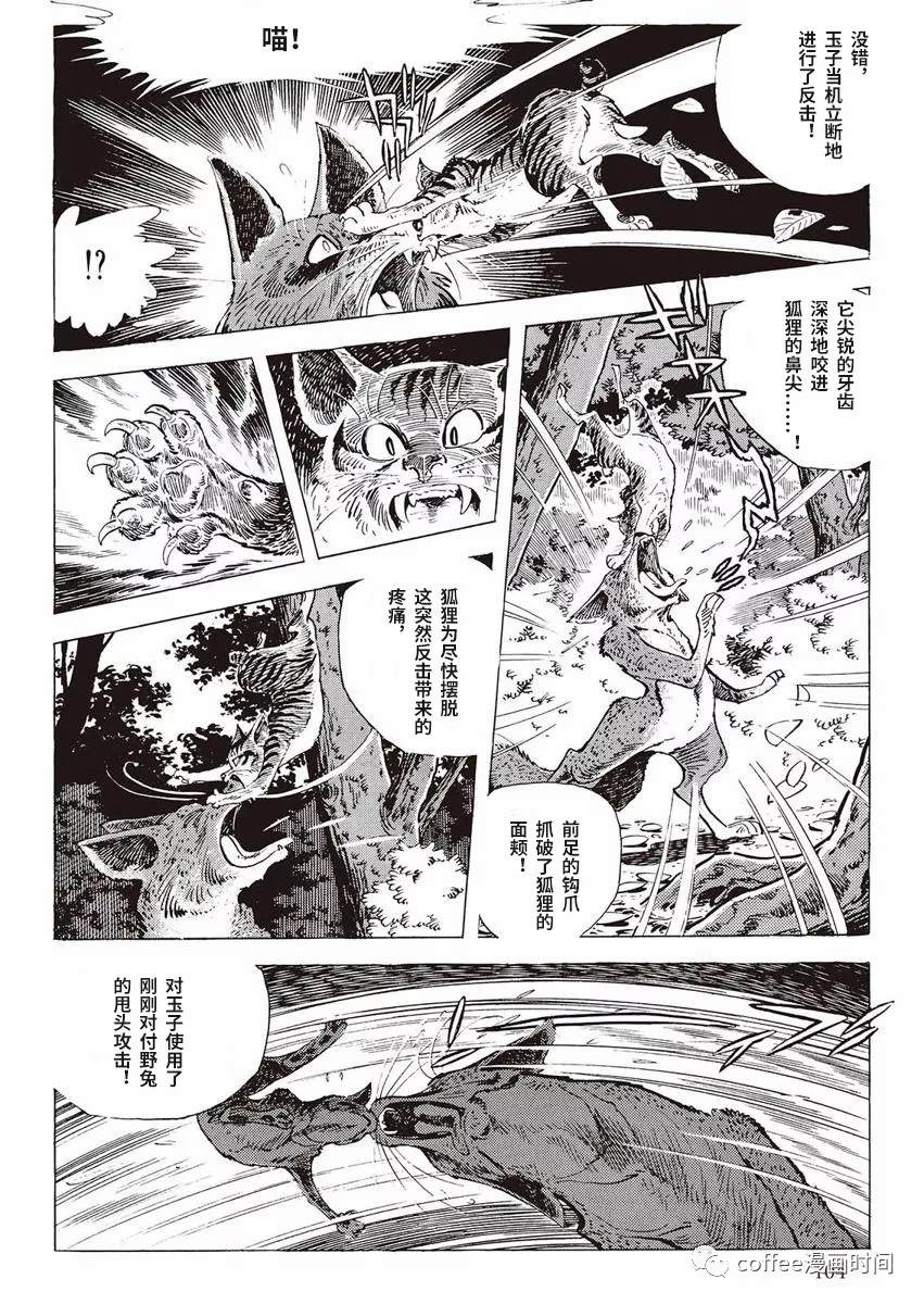 《罚猫的梦想》漫画最新章节第1话免费下拉式在线观看章节第【46】张图片