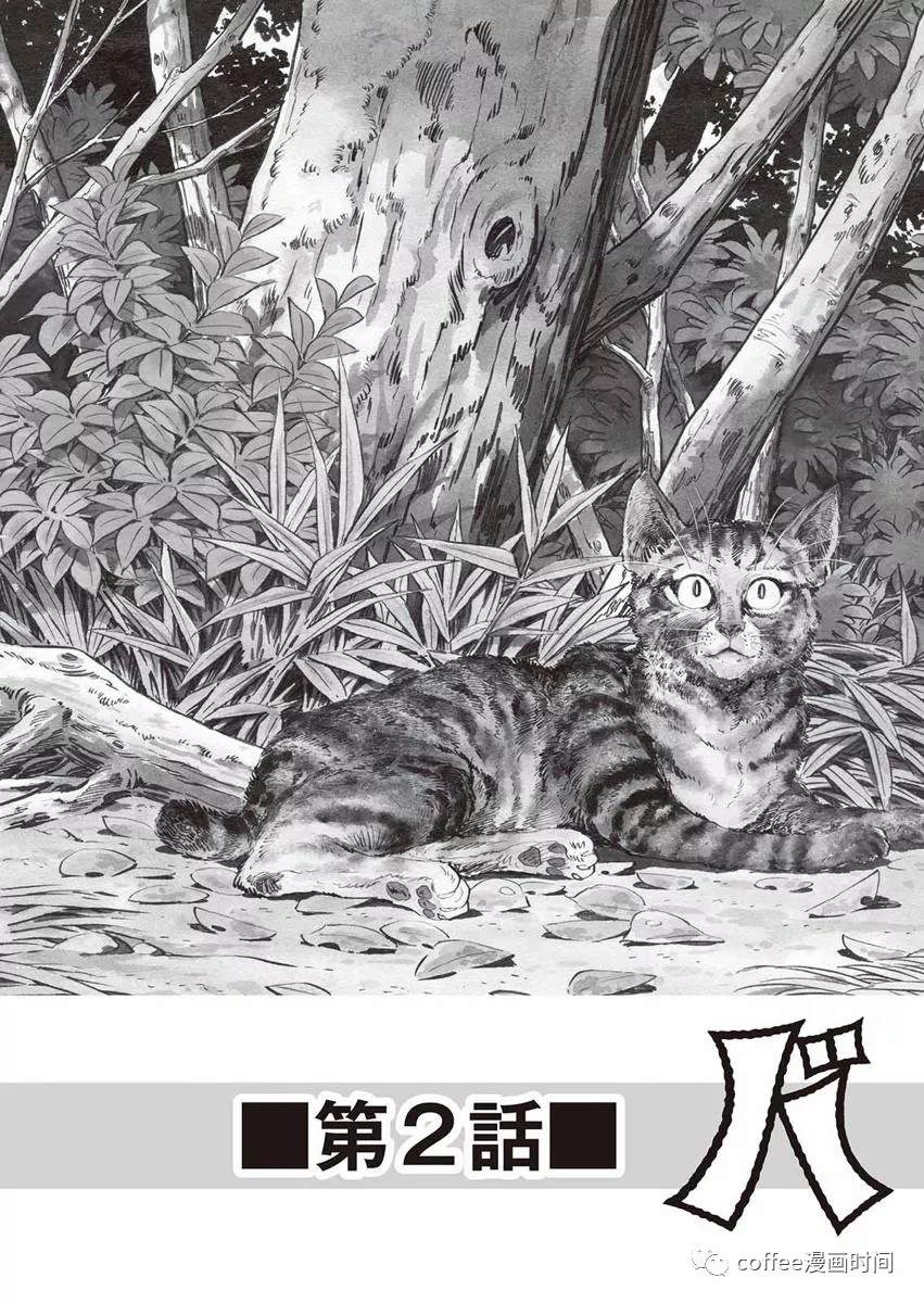 《罚猫的梦想》漫画最新章节第1话免费下拉式在线观看章节第【3】张图片