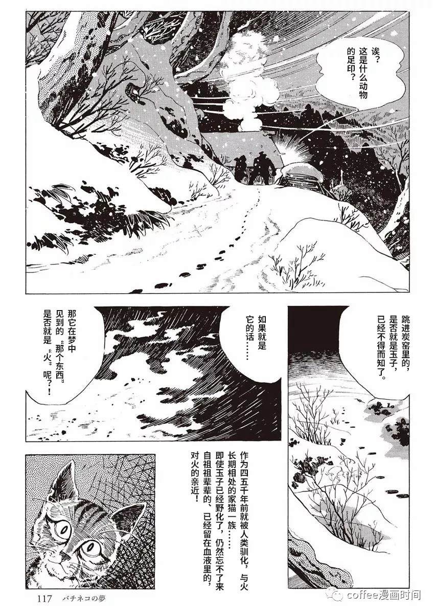 《罚猫的梦想》漫画最新章节第1话免费下拉式在线观看章节第【59】张图片