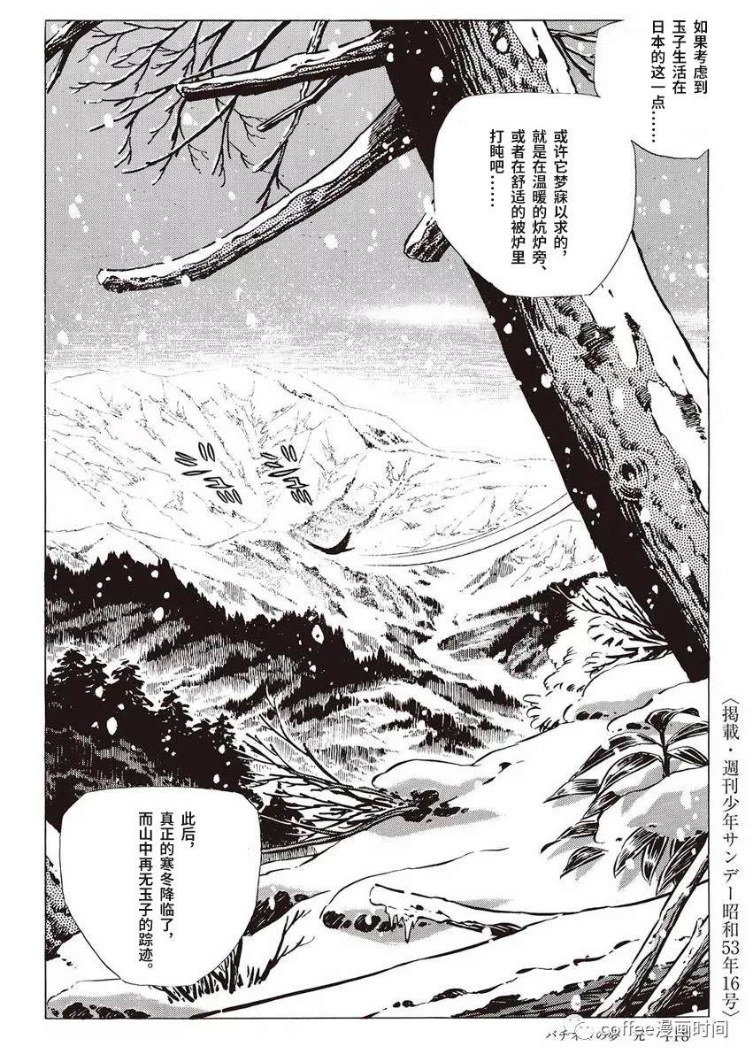 《罚猫的梦想》漫画最新章节第1话免费下拉式在线观看章节第【60】张图片