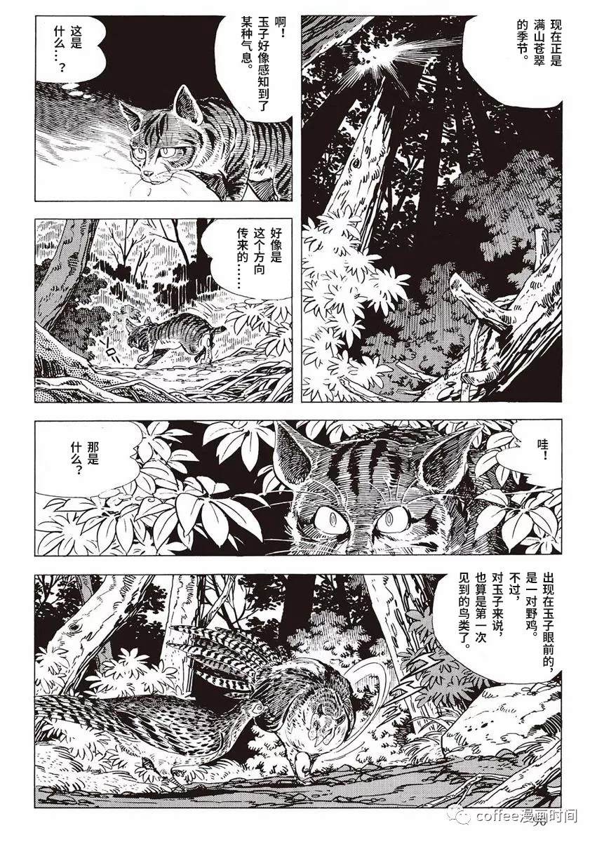 《罚猫的梦想》漫画最新章节第1话免费下拉式在线观看章节第【32】张图片