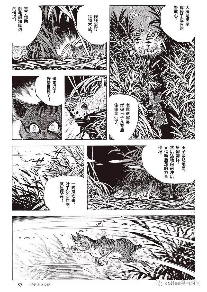 《罚猫的梦想》漫画最新章节第1话免费下拉式在线观看章节第【27】张图片