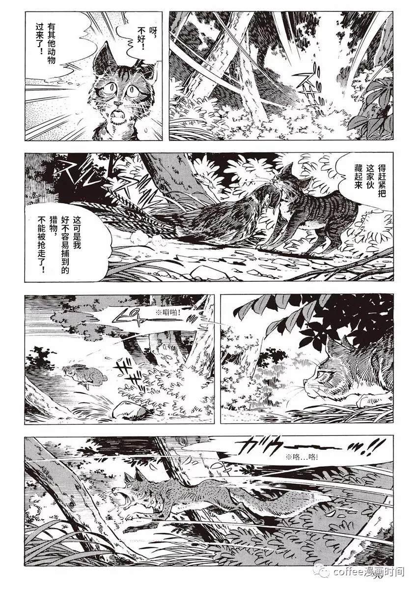 《罚猫的梦想》漫画最新章节第1话免费下拉式在线观看章节第【38】张图片