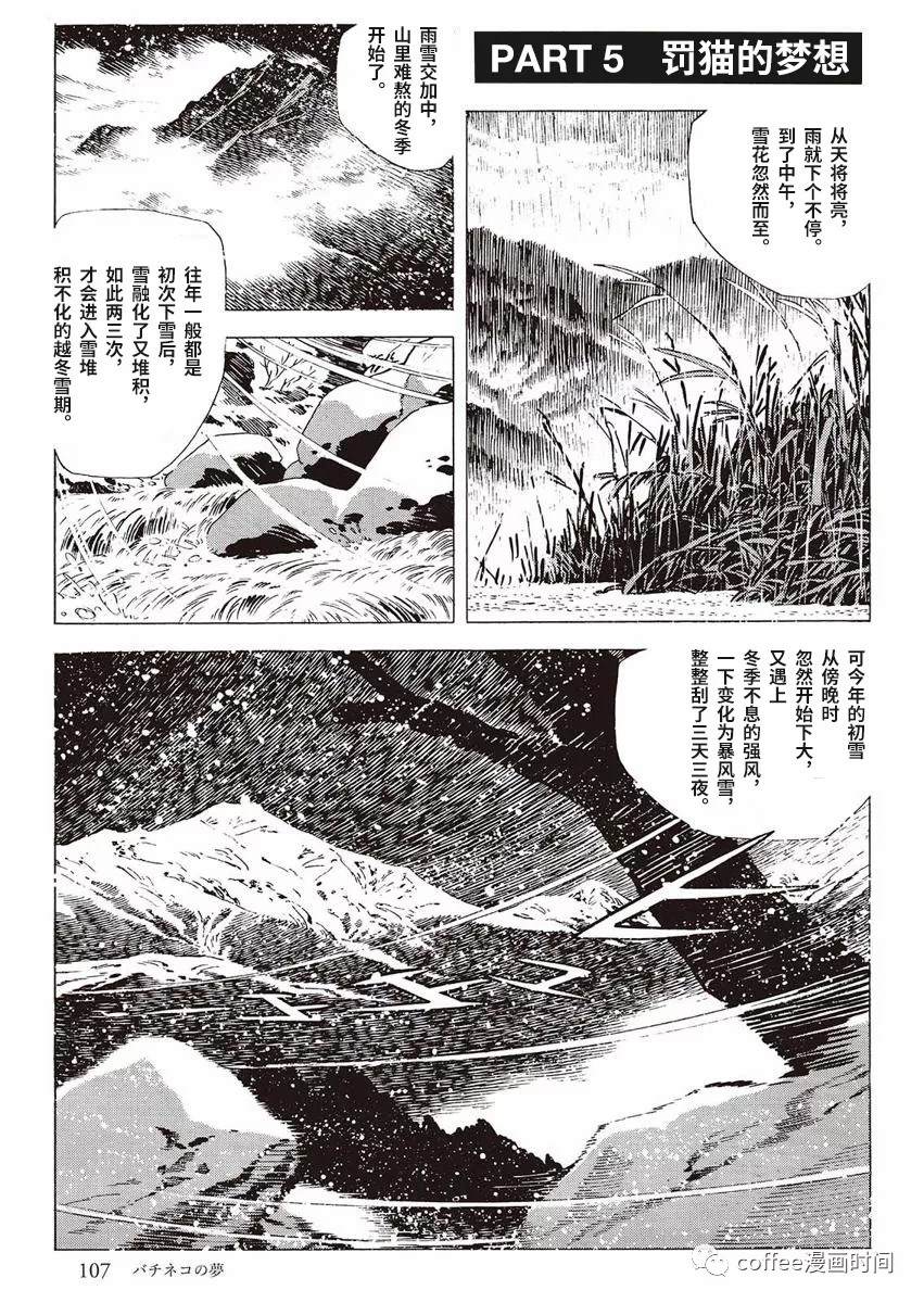 《罚猫的梦想》漫画最新章节第1话免费下拉式在线观看章节第【49】张图片