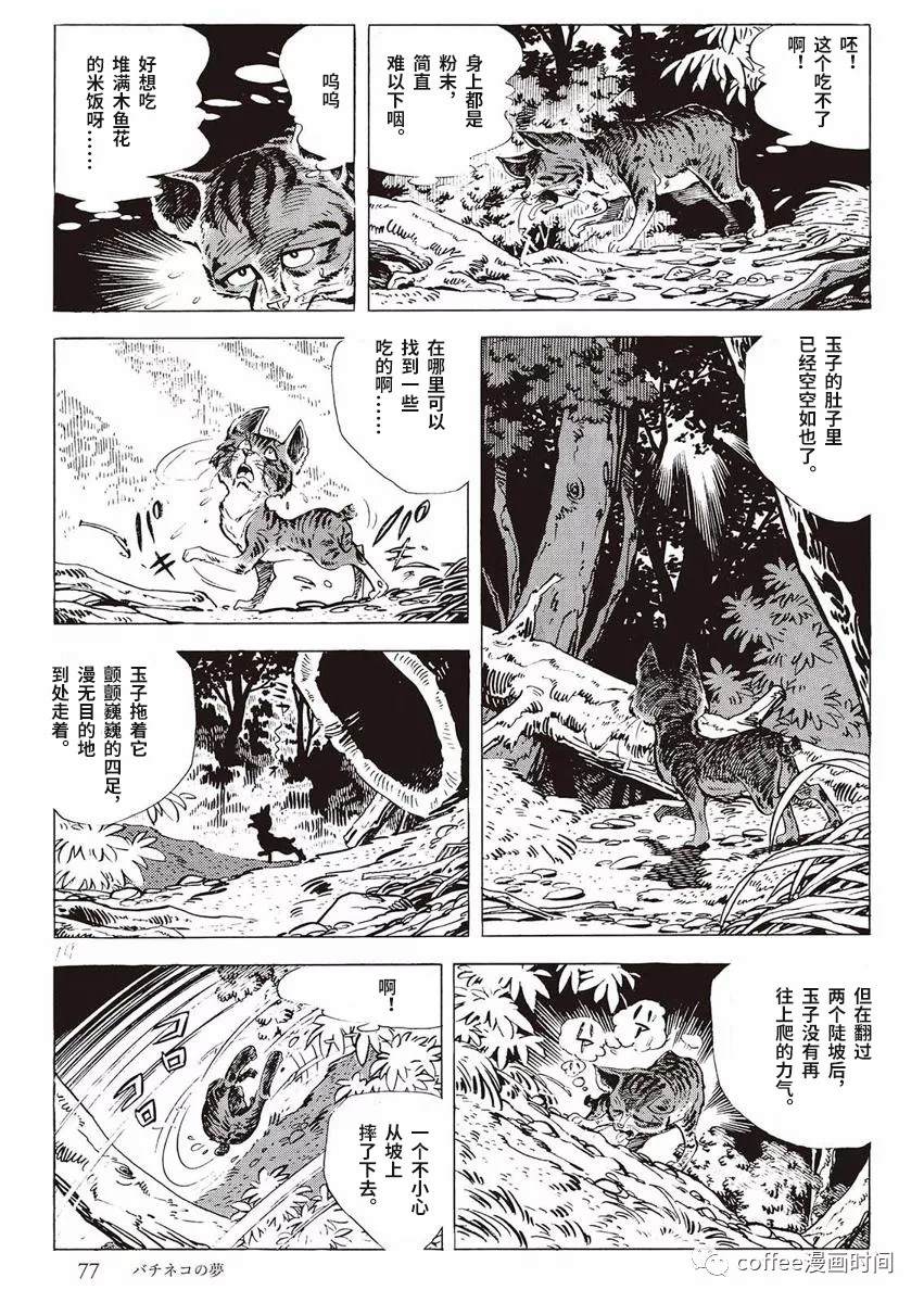 《罚猫的梦想》漫画最新章节第1话免费下拉式在线观看章节第【19】张图片