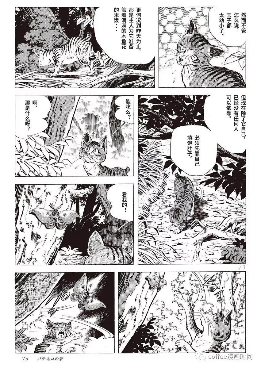 《罚猫的梦想》漫画最新章节第1话免费下拉式在线观看章节第【17】张图片