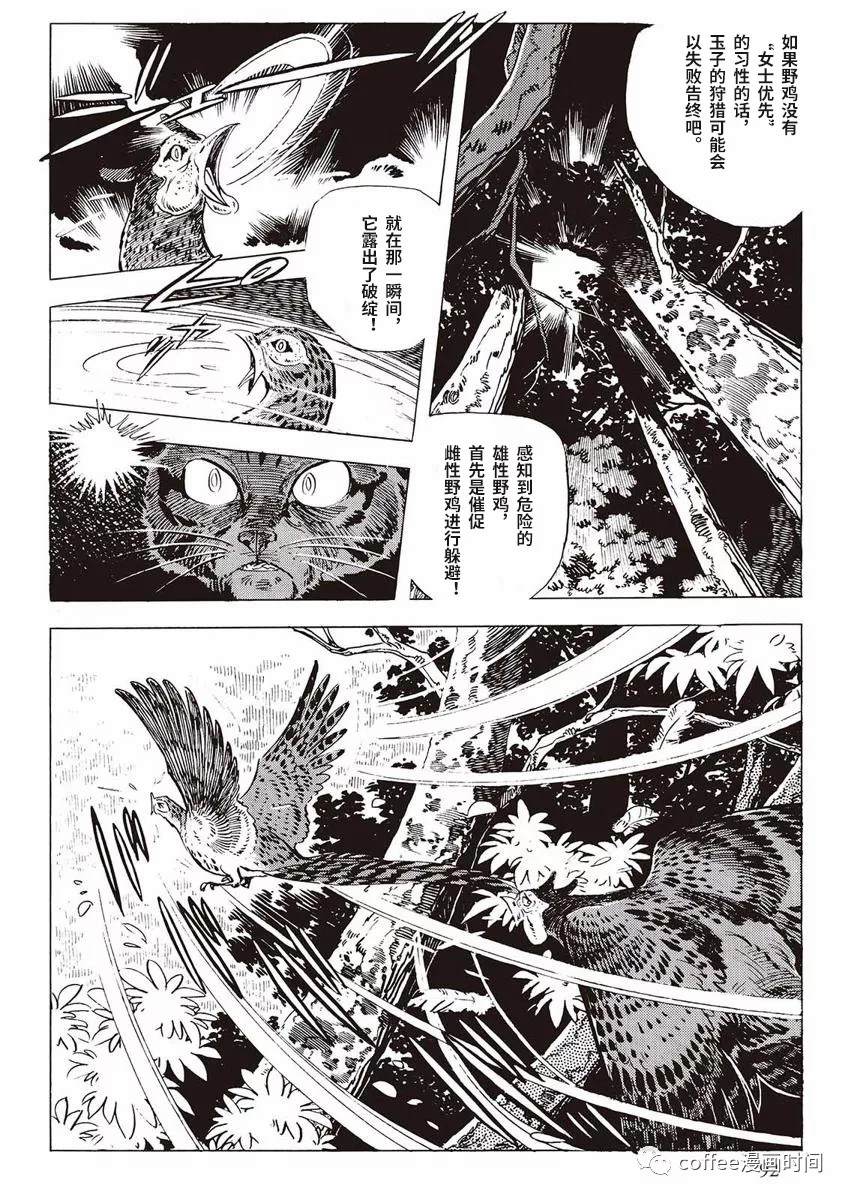 《罚猫的梦想》漫画最新章节第1话免费下拉式在线观看章节第【34】张图片