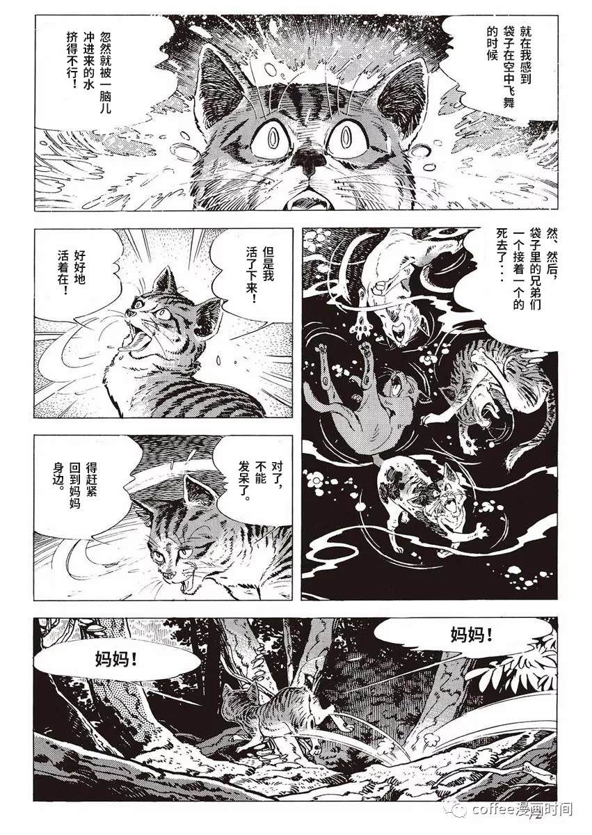 《罚猫的梦想》漫画最新章节第1话免费下拉式在线观看章节第【14】张图片