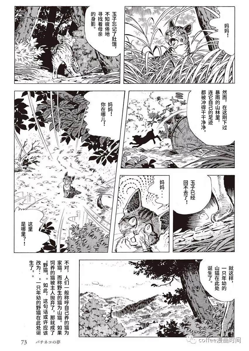 《罚猫的梦想》漫画最新章节第1话免费下拉式在线观看章节第【15】张图片