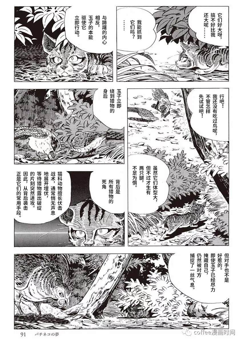 《罚猫的梦想》漫画最新章节第1话免费下拉式在线观看章节第【33】张图片