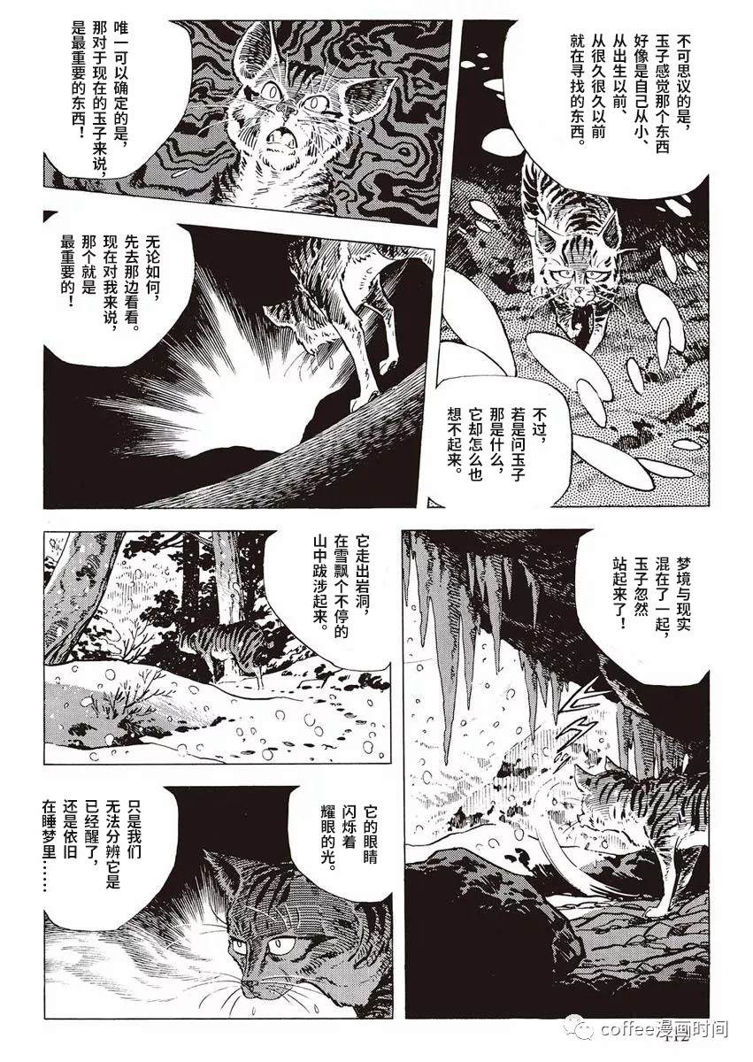 《罚猫的梦想》漫画最新章节第1话免费下拉式在线观看章节第【54】张图片