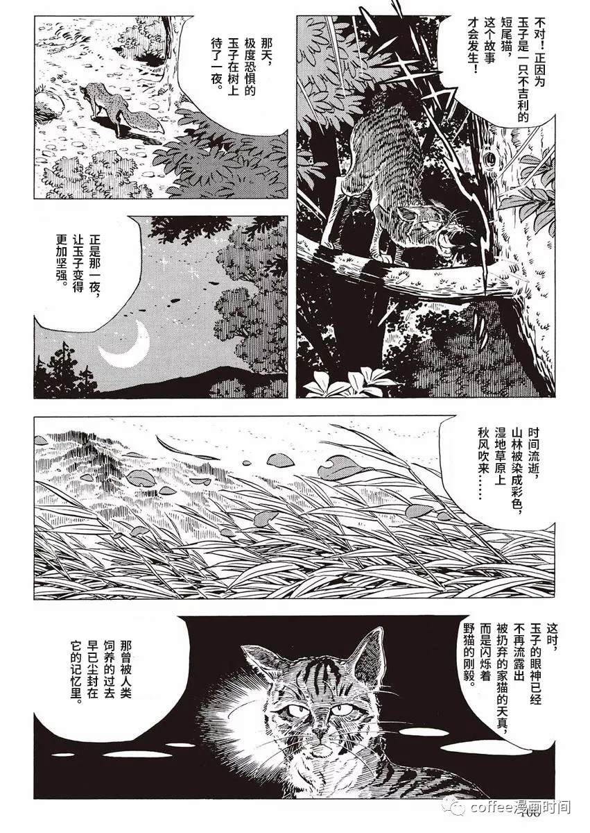 《罚猫的梦想》漫画最新章节第1话免费下拉式在线观看章节第【48】张图片