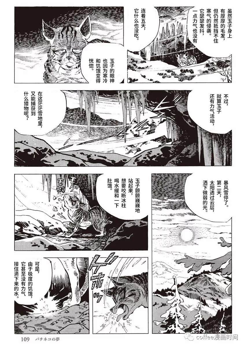 《罚猫的梦想》漫画最新章节第1话免费下拉式在线观看章节第【51】张图片