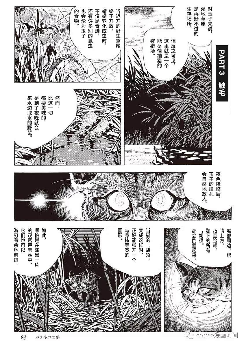 《罚猫的梦想》漫画最新章节第1话免费下拉式在线观看章节第【25】张图片