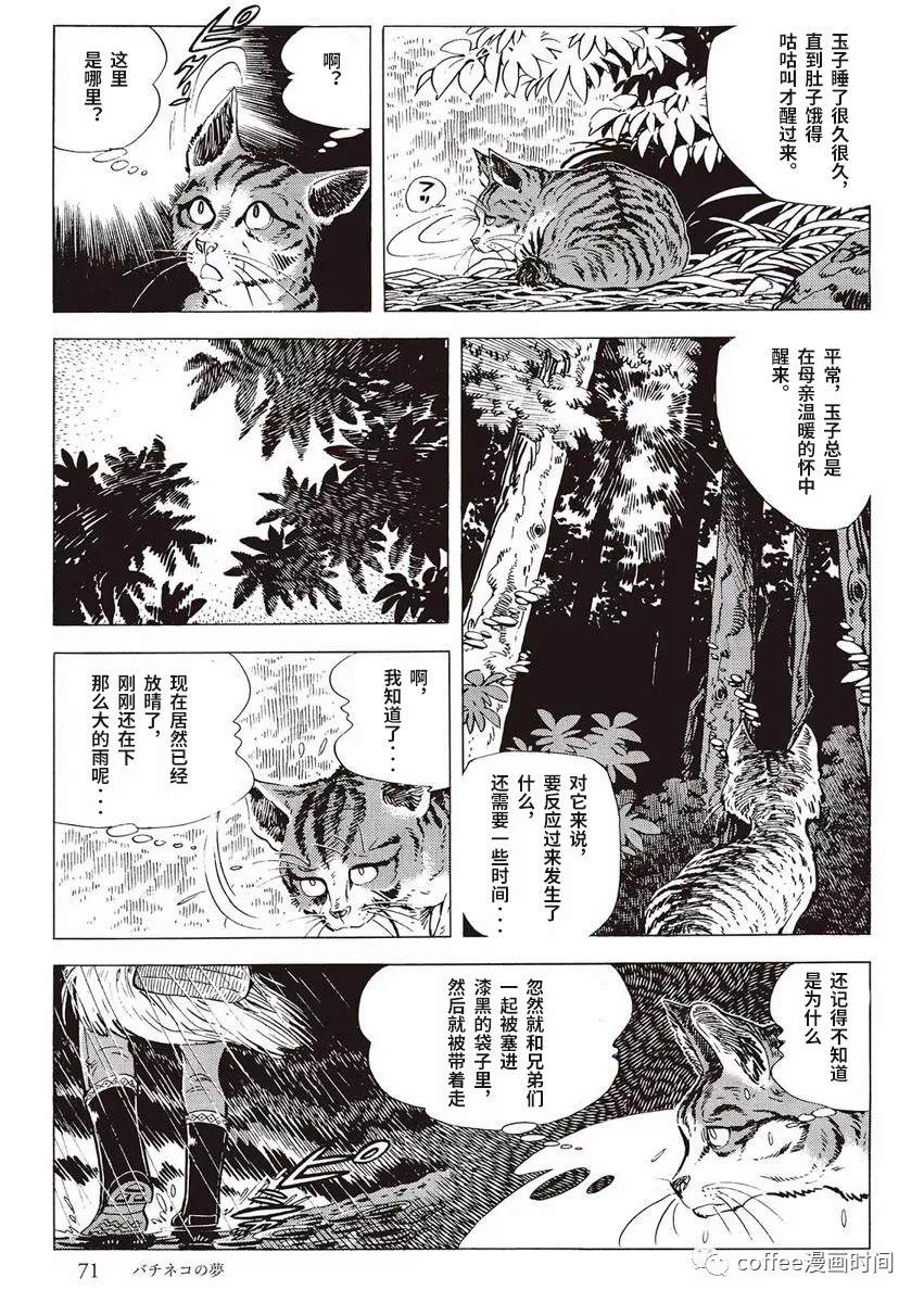 《罚猫的梦想》漫画最新章节第1话免费下拉式在线观看章节第【13】张图片