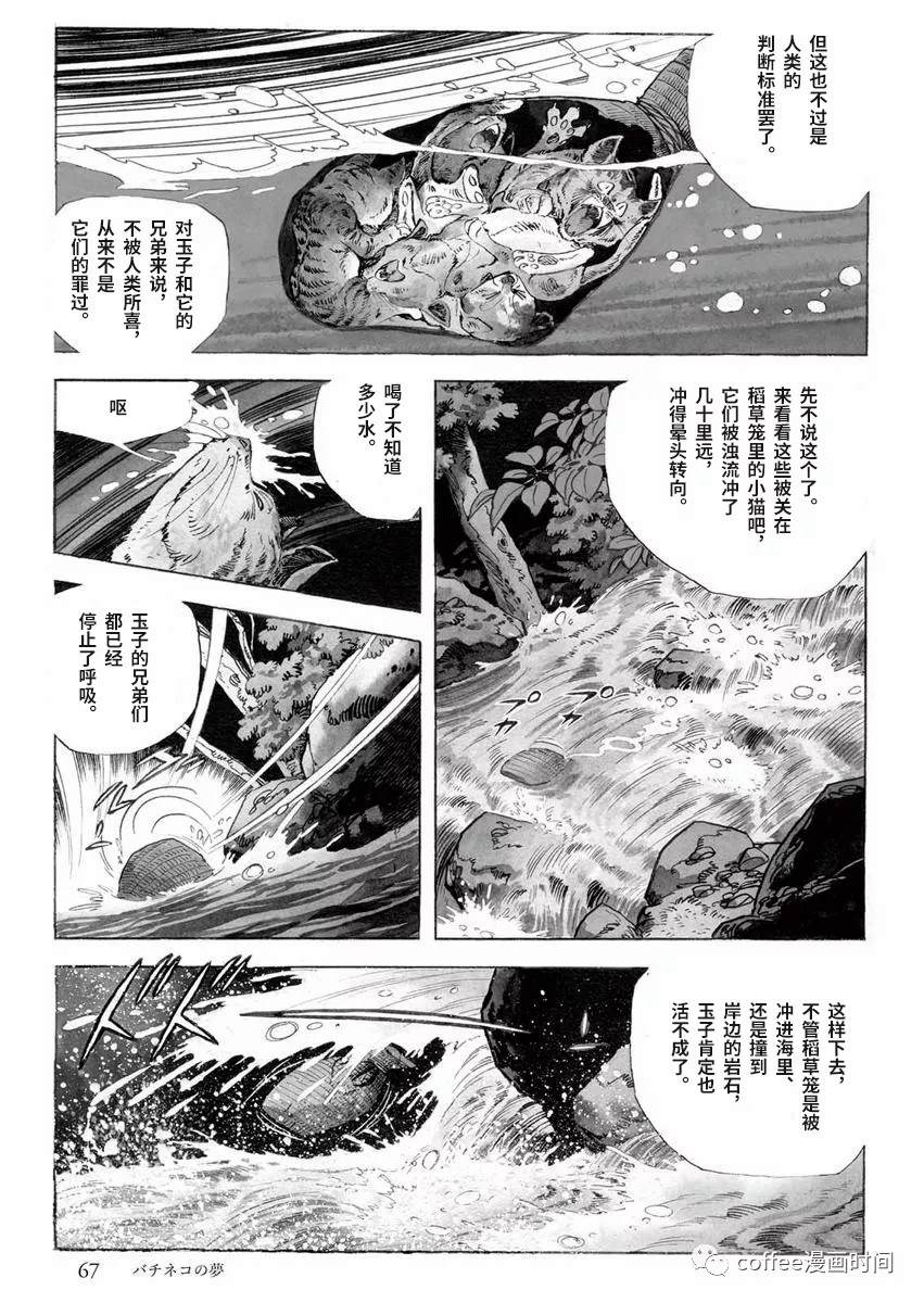 《罚猫的梦想》漫画最新章节第1话免费下拉式在线观看章节第【9】张图片