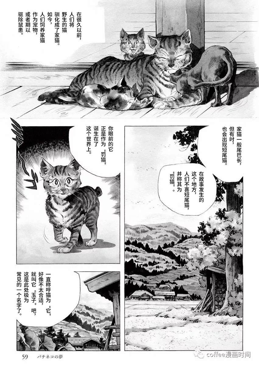 《罚猫的梦想》漫画最新章节第1话免费下拉式在线观看章节第【1】张图片