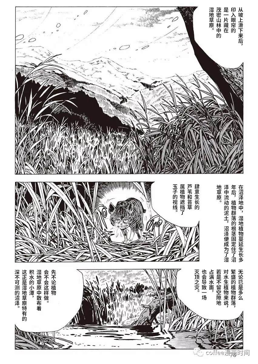 《罚猫的梦想》漫画最新章节第1话免费下拉式在线观看章节第【20】张图片