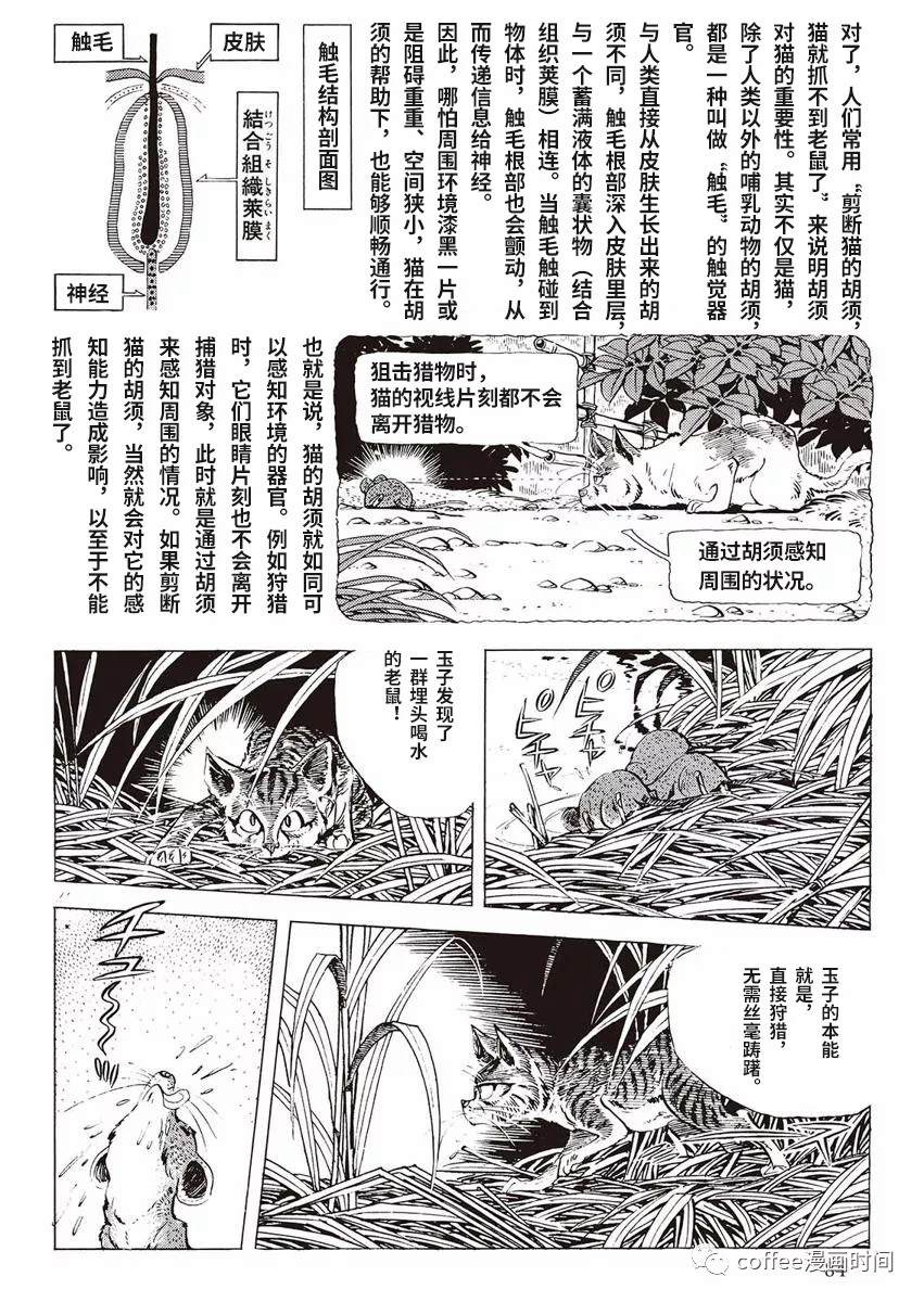 《罚猫的梦想》漫画最新章节第1话免费下拉式在线观看章节第【26】张图片