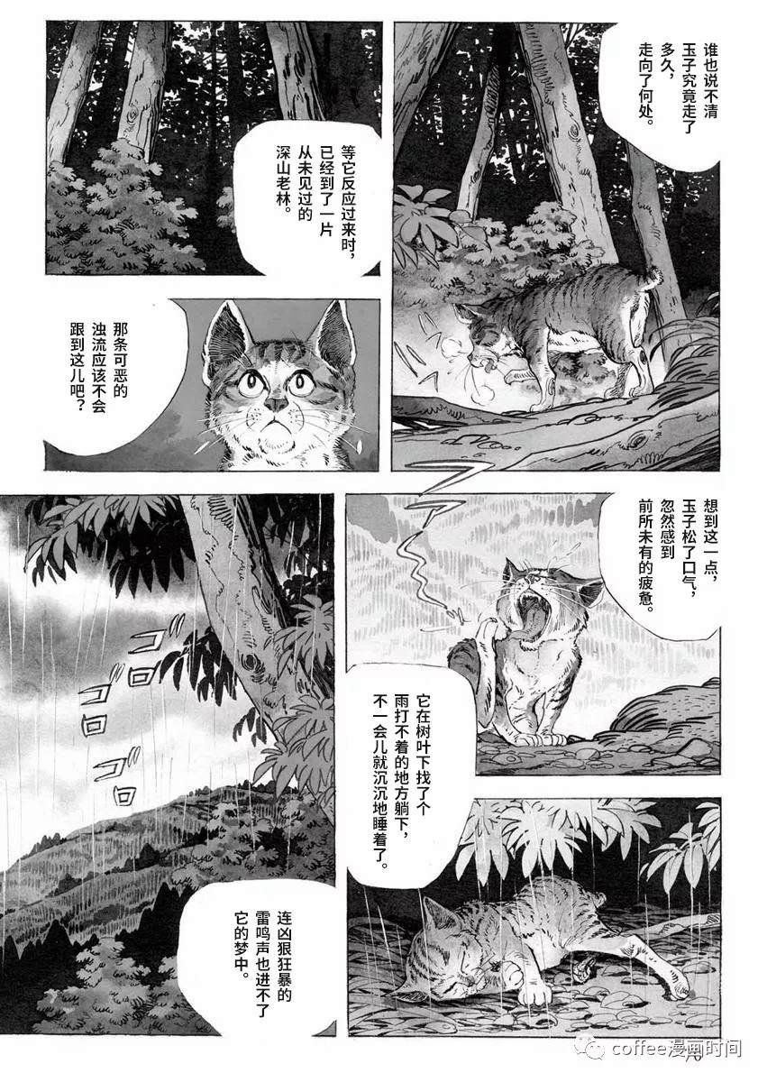 《罚猫的梦想》漫画最新章节第1话免费下拉式在线观看章节第【12】张图片