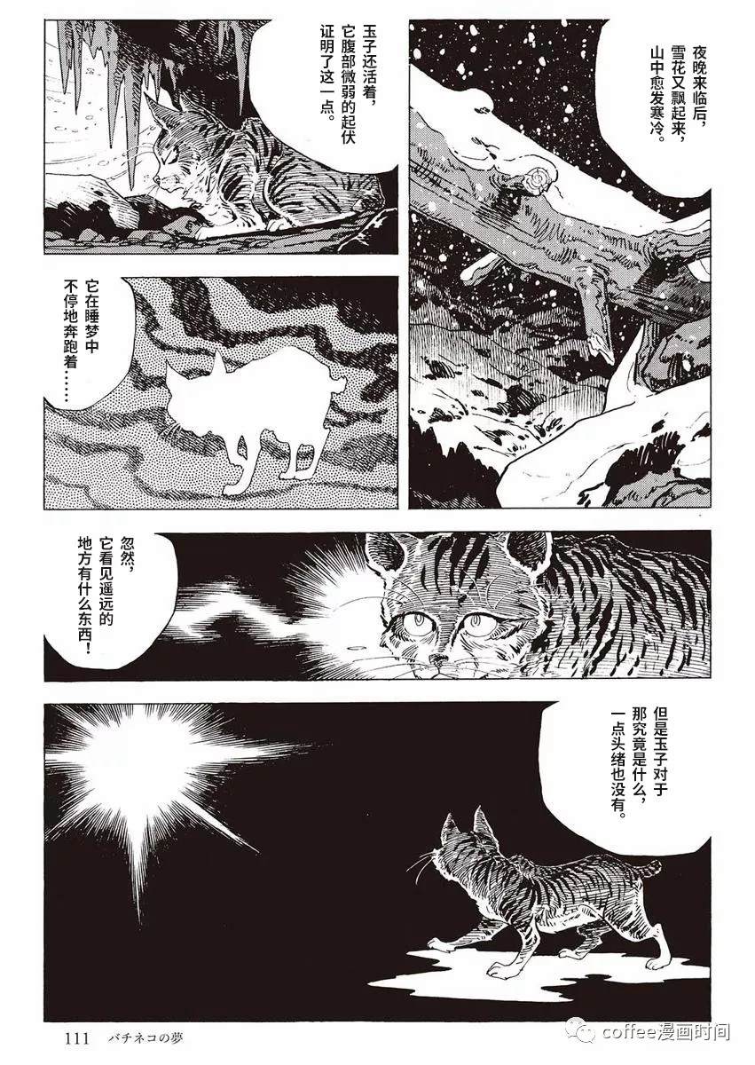 《罚猫的梦想》漫画最新章节第1话免费下拉式在线观看章节第【53】张图片