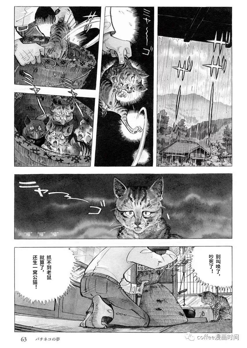 《罚猫的梦想》漫画最新章节第1话免费下拉式在线观看章节第【5】张图片