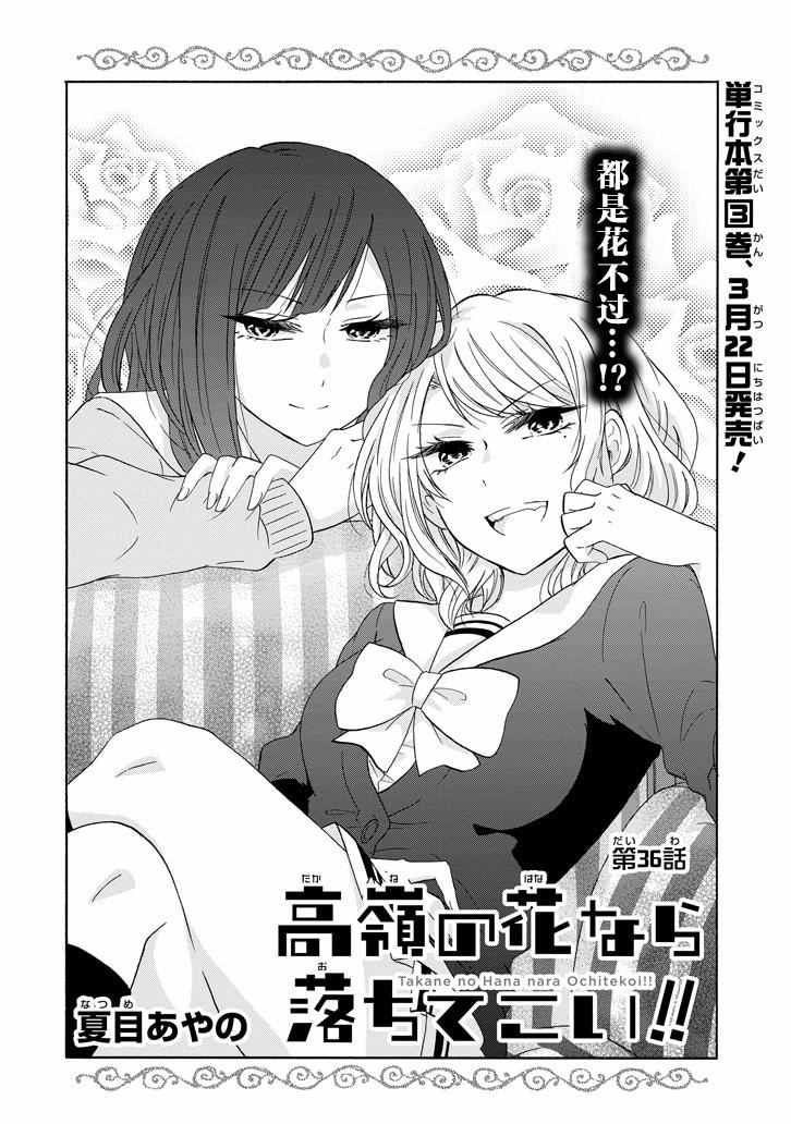 《就算是高岭之花也要攻略！》漫画最新章节第36话免费下拉式在线观看章节第【2】张图片