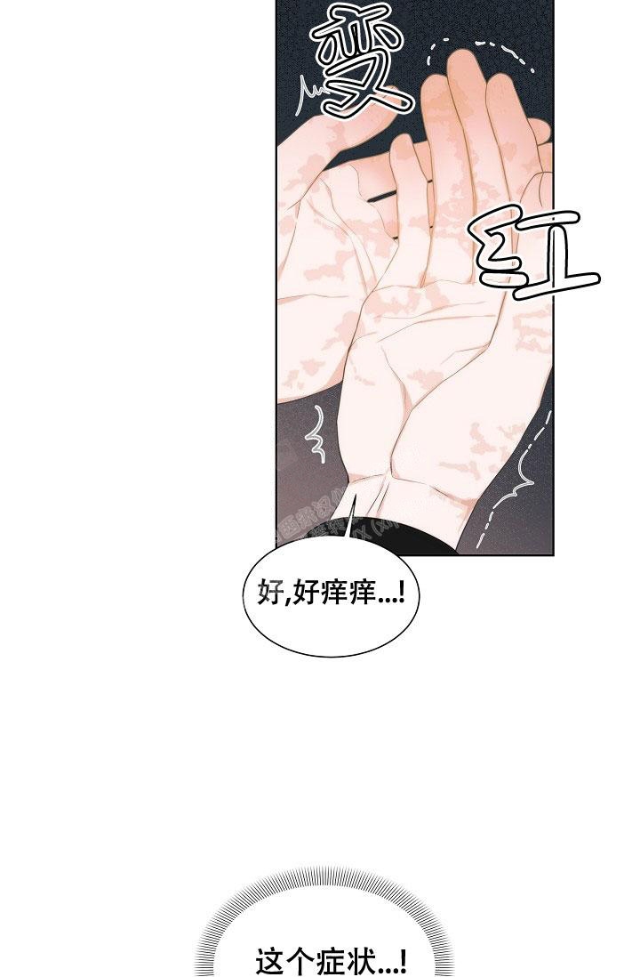 《曼哈顿罗曼史》漫画最新章节第11话免费下拉式在线观看章节第【23】张图片