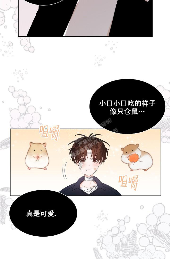 《曼哈顿罗曼史》漫画最新章节第37话免费下拉式在线观看章节第【27】张图片