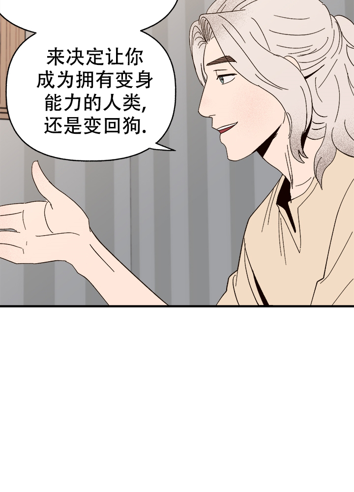 《主人的主人》漫画最新章节第44话免费下拉式在线观看章节第【5】张图片