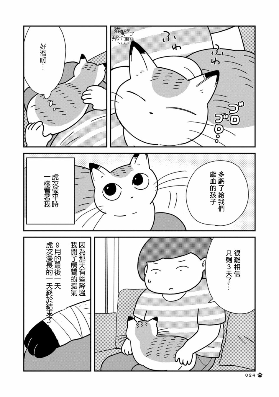 《猫咪虎次漫长的一天》漫画最新章节第3话免费下拉式在线观看章节第【6】张图片