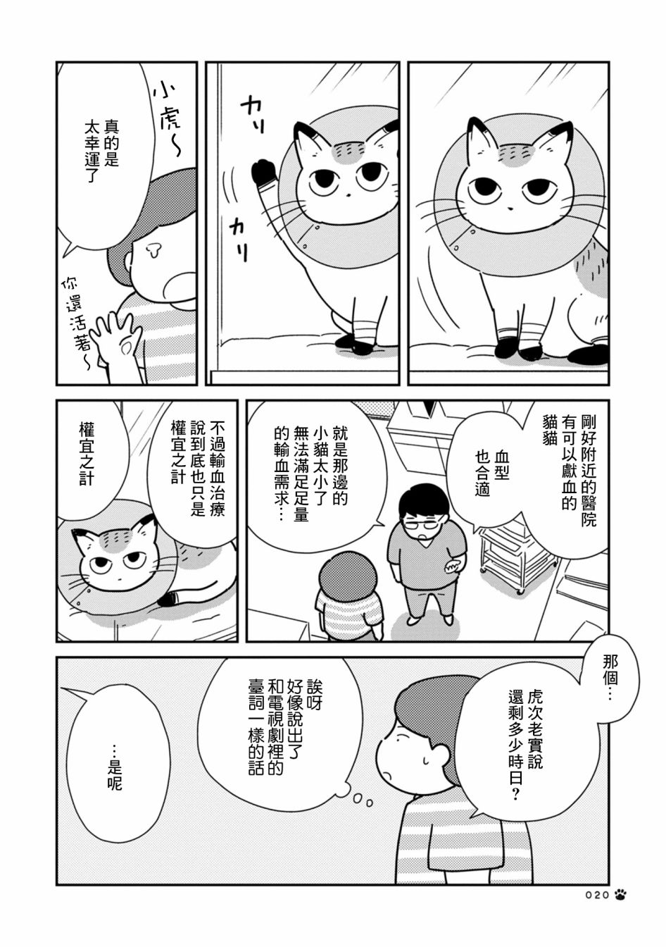 《猫咪虎次漫长的一天》漫画最新章节第3话免费下拉式在线观看章节第【2】张图片