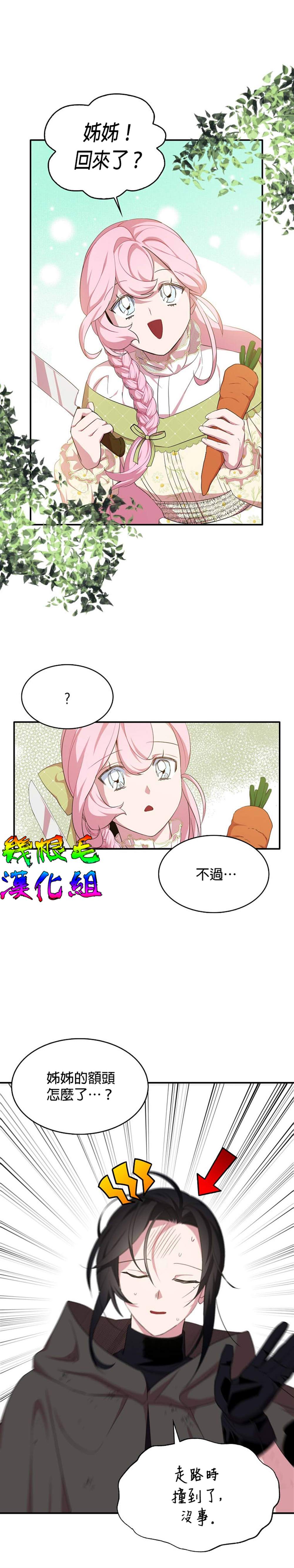 《我只想成为忠诚之剑》漫画最新章节第17话免费下拉式在线观看章节第【3】张图片