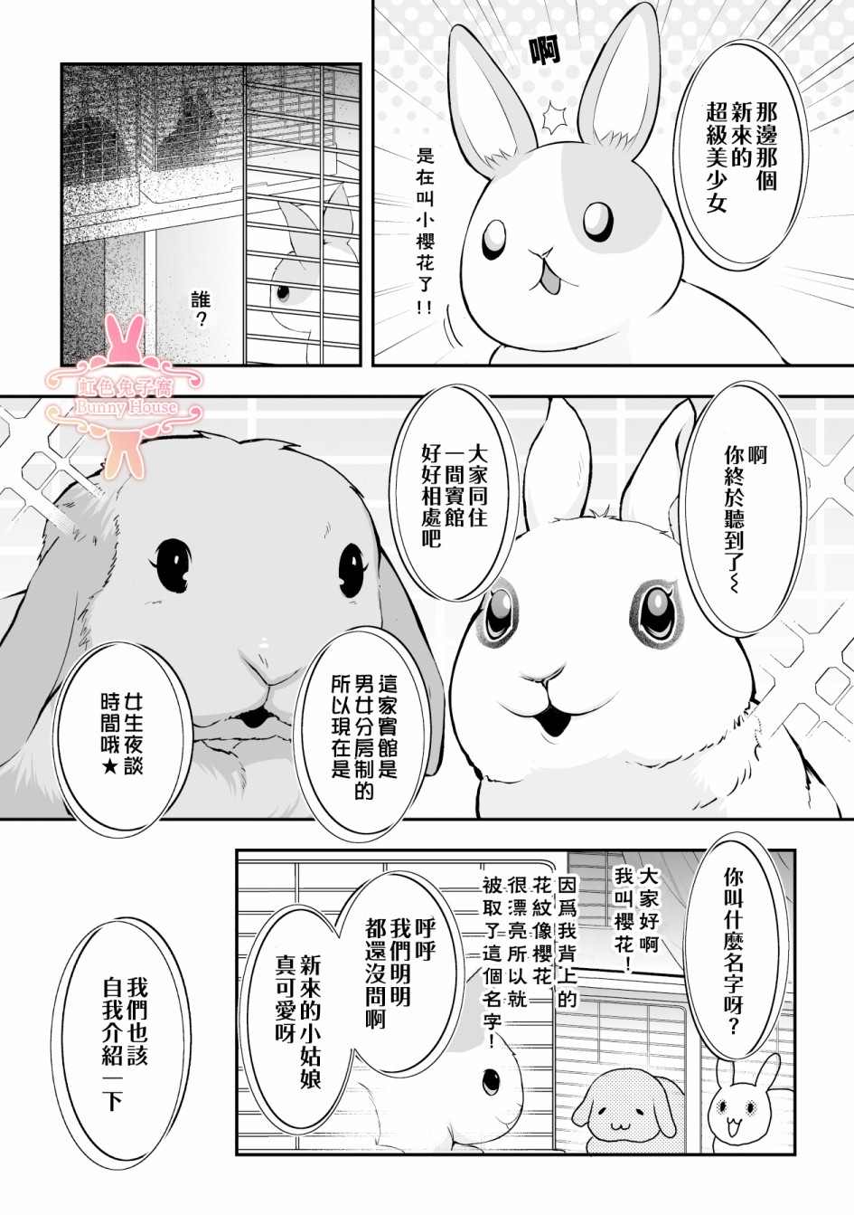 《极道兔兔》漫画最新章节第17话免费下拉式在线观看章节第【16】张图片