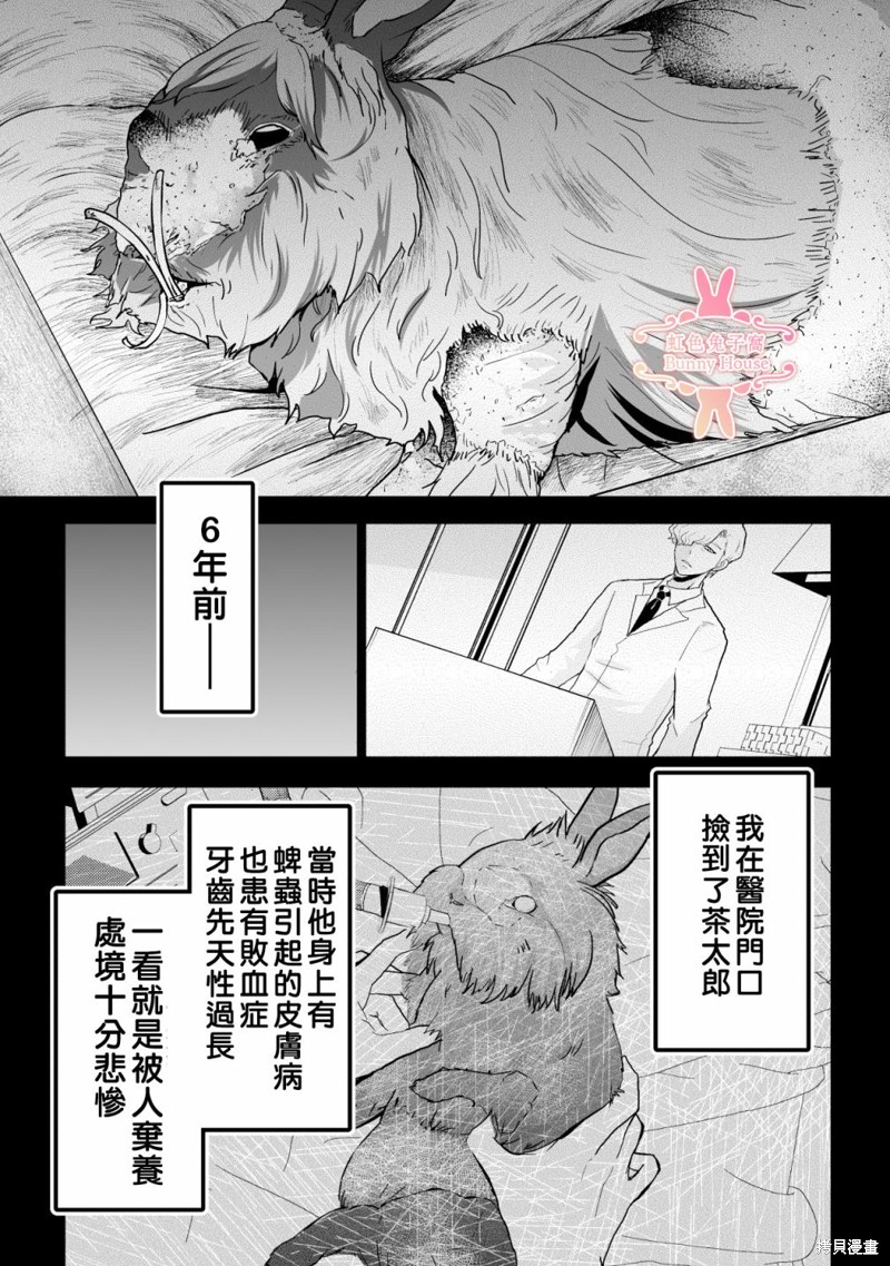 《极道兔兔》漫画最新章节第10话免费下拉式在线观看章节第【9】张图片