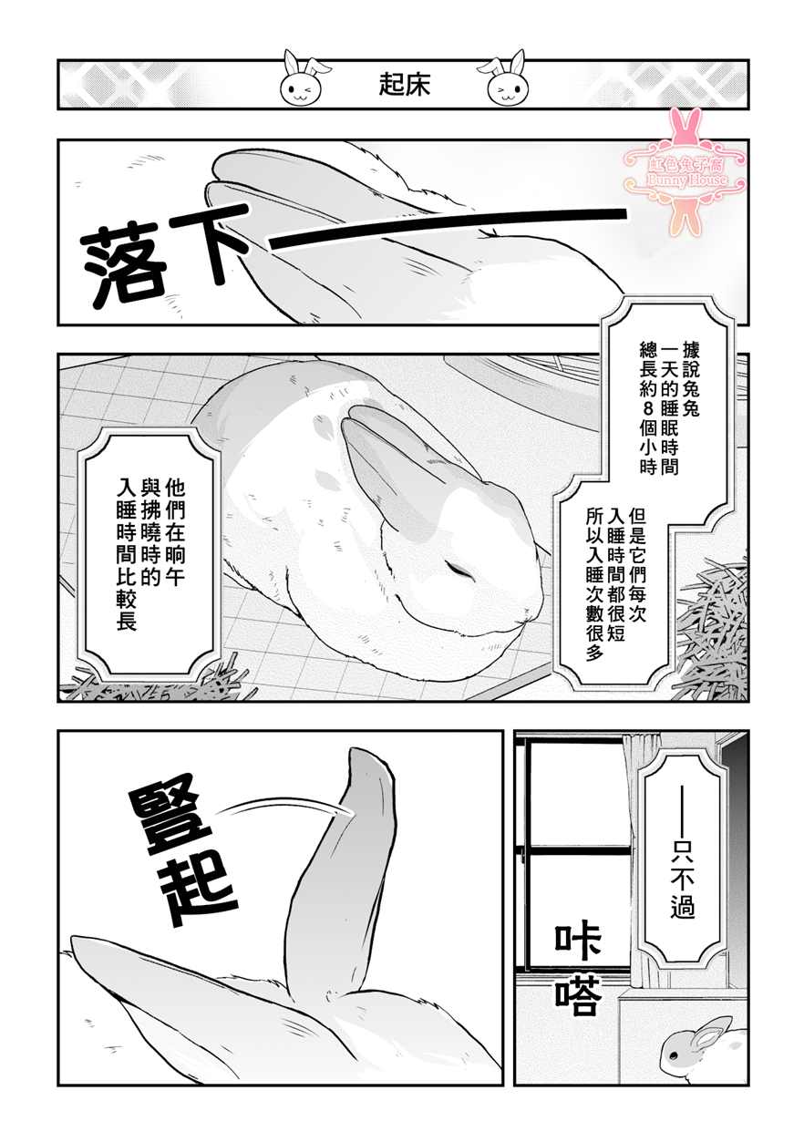 《极道兔兔》漫画最新章节第9话免费下拉式在线观看章节第【2】张图片